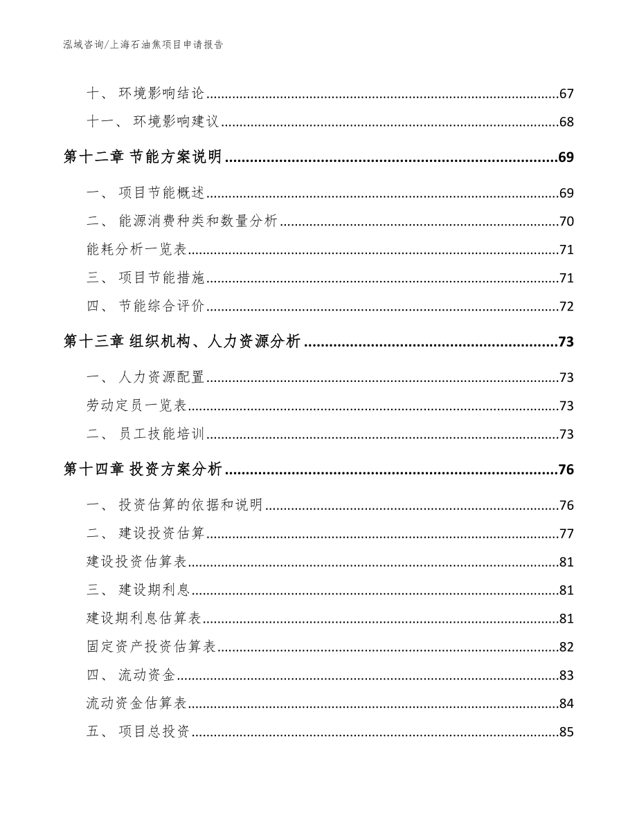 上海石油焦项目申请报告模板范文_第4页