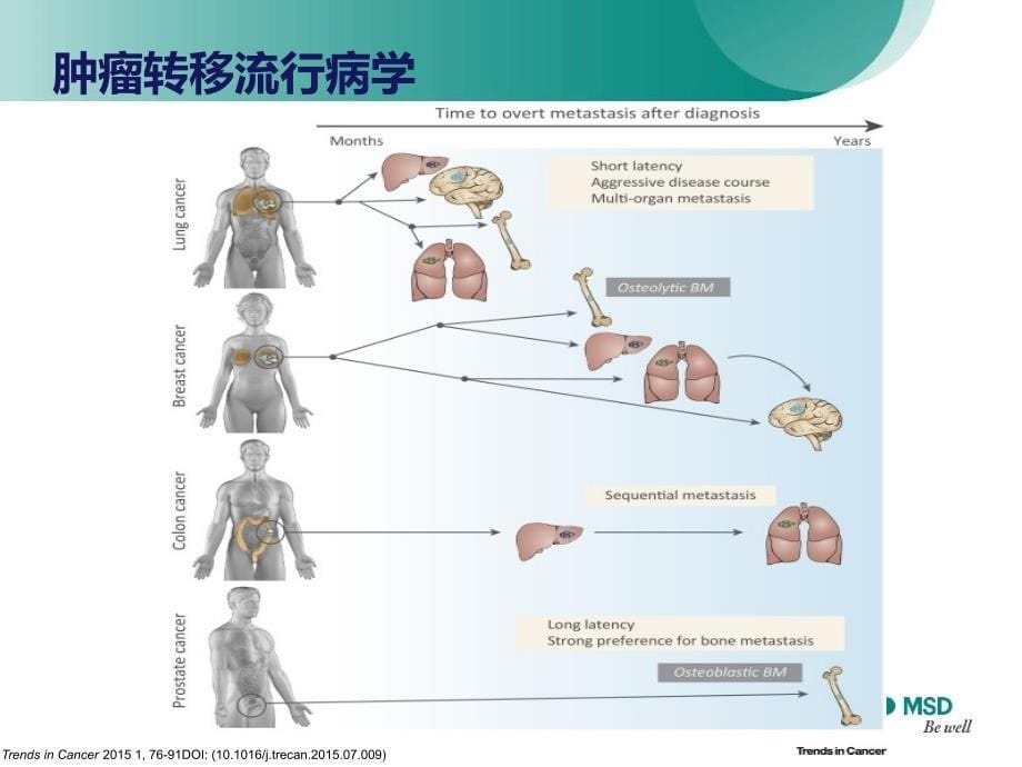 脑转移的化学治疗课件_第5页