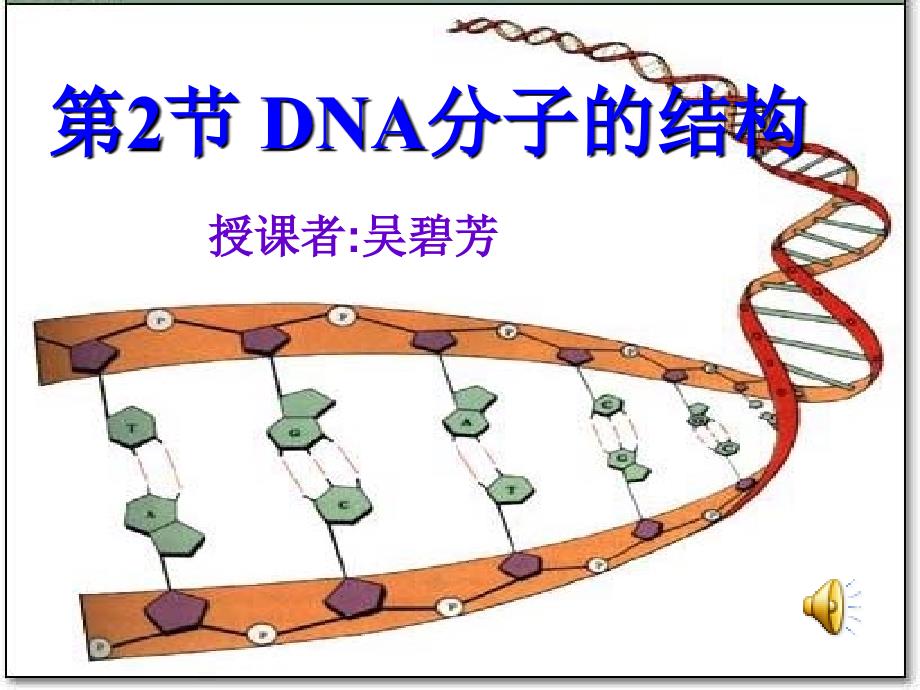 《DNA分子的结构》PPT课件_第1页