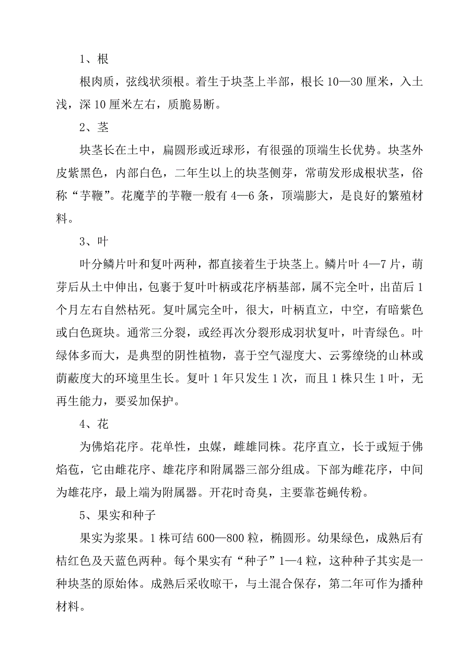 魔芋高产栽培技术_第3页