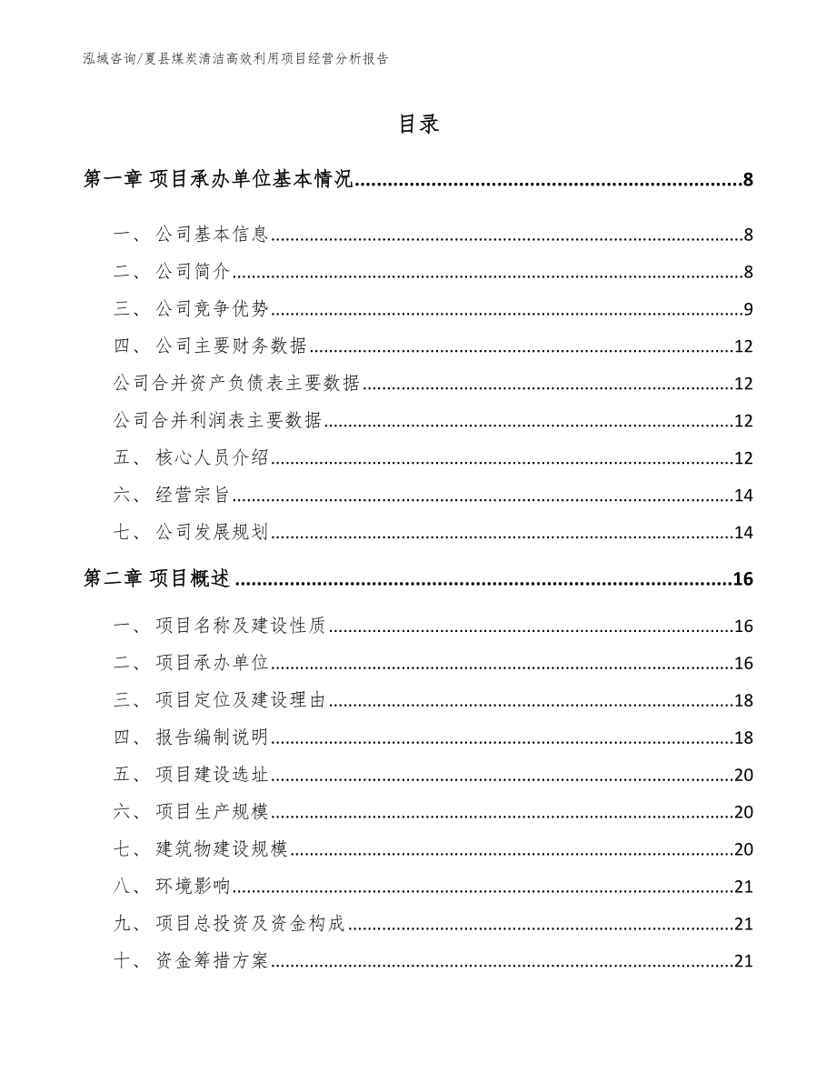夏县煤炭清洁高效利用项目经营分析报告（模板参考）_第1页