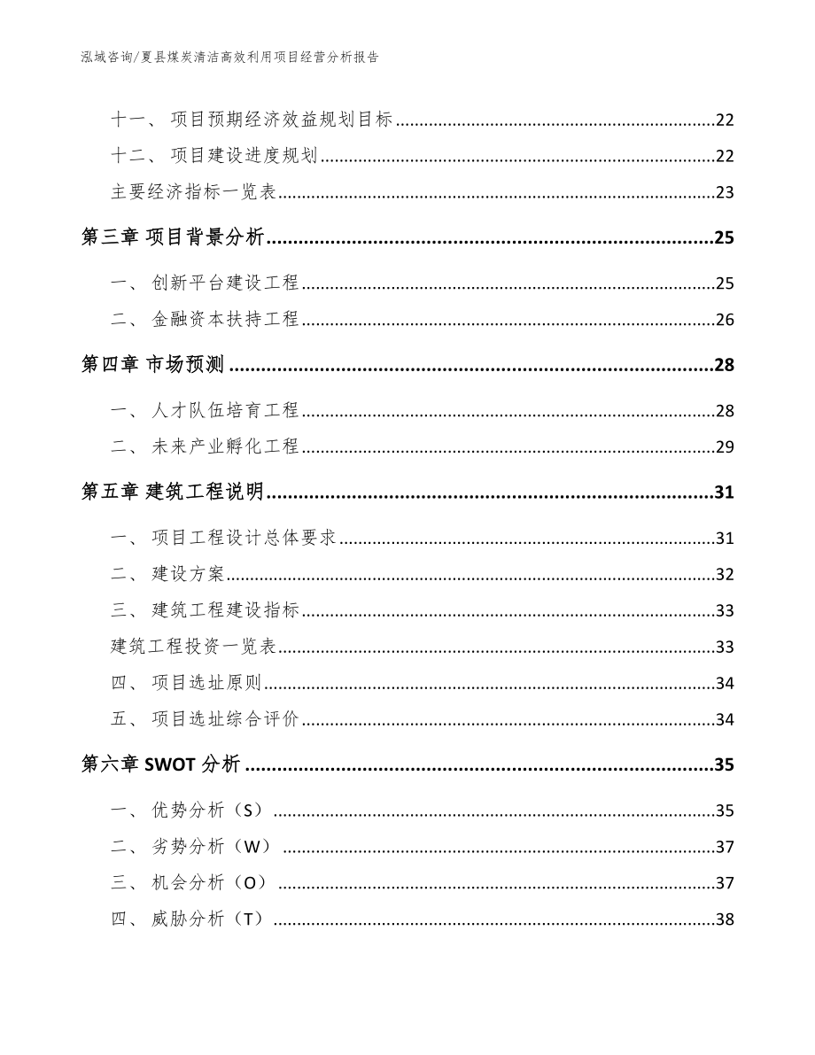 夏县煤炭清洁高效利用项目经营分析报告（模板参考）_第2页