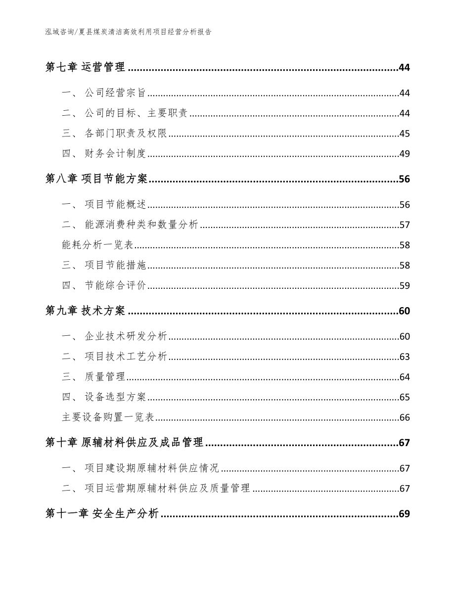 夏县煤炭清洁高效利用项目经营分析报告（模板参考）_第3页