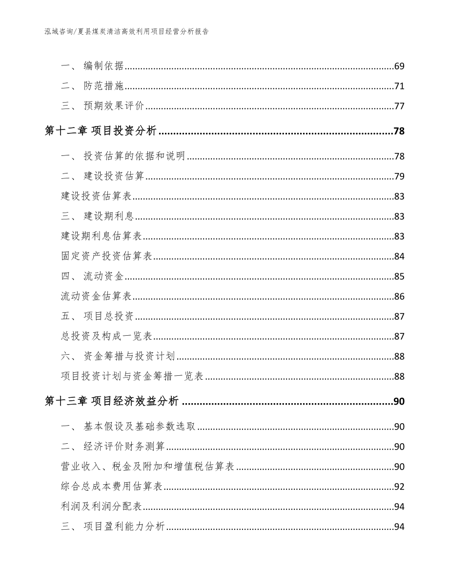 夏县煤炭清洁高效利用项目经营分析报告（模板参考）_第4页