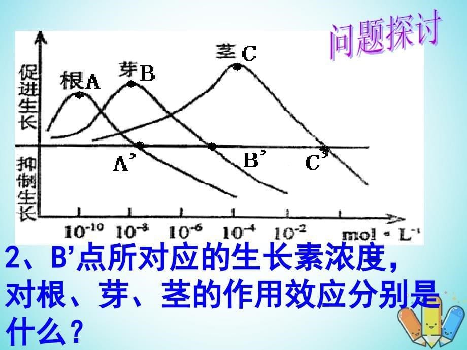 云南省峨山彝族自治县高中生物 第三章 植物的激素调节 3.2《生长素的生理作用》课件 新人教版必修3_第5页