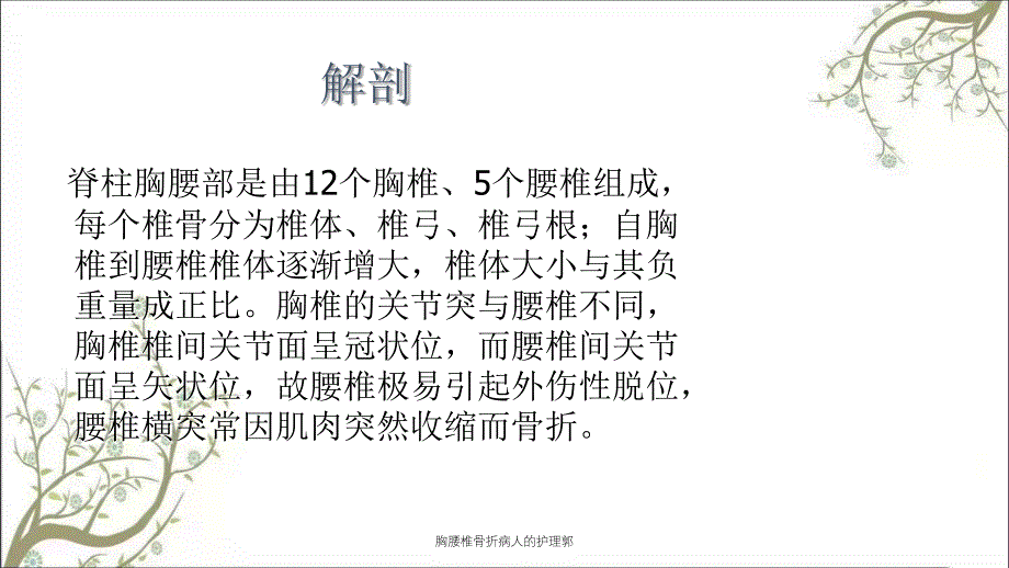 胸腰椎骨折病人的护理郭_第2页