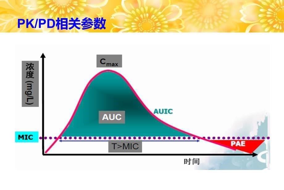 PKPD理论在抗菌素应用中的意义件_第5页