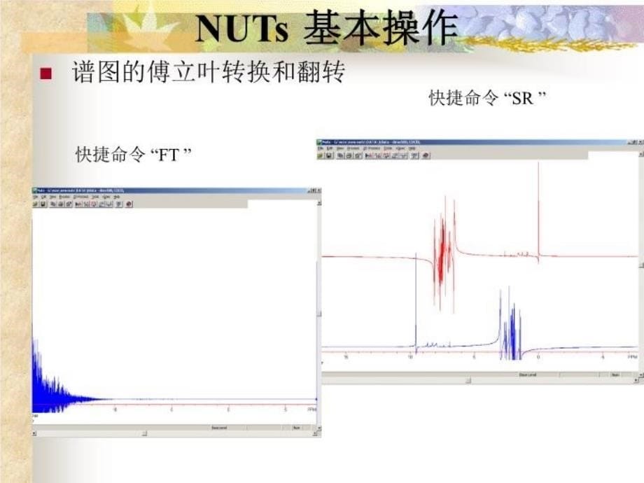 最新处理NMR谱图技巧幻灯片_第5页