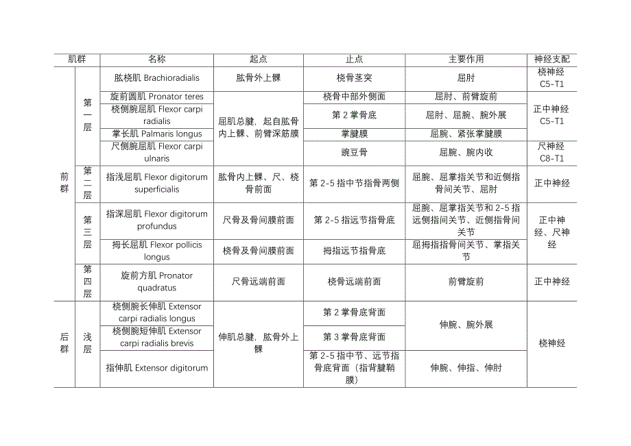 骨科必备-上肢肌肉的起止点和功能表_第3页