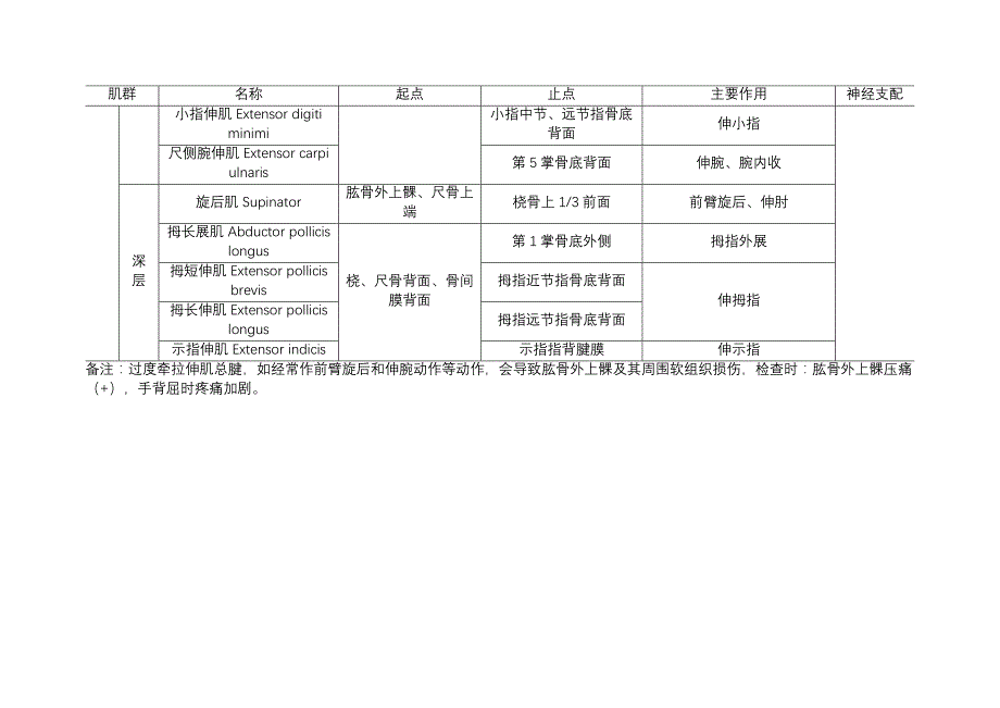 骨科必备-上肢肌肉的起止点和功能表_第4页