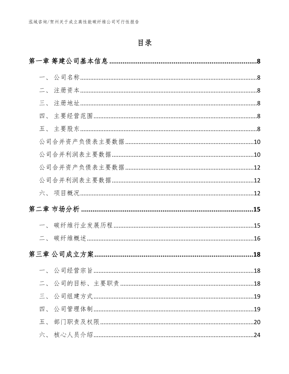 贺州关于成立高性能碳纤维公司可行性报告（模板）_第2页