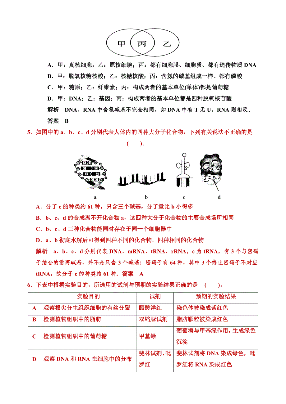 四川省仁寿第二中学高16届第五学期第一次月考_第2页