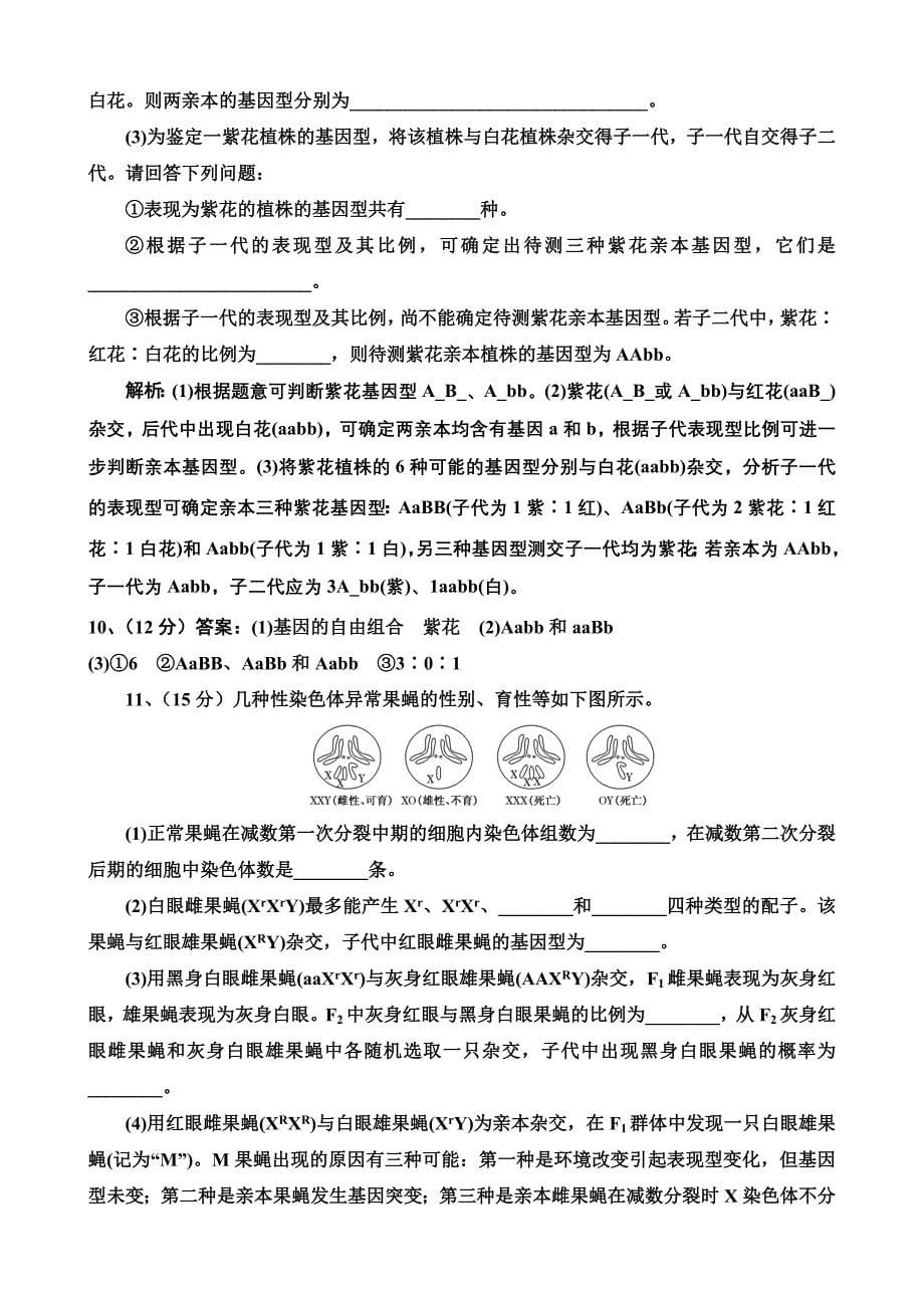 四川省仁寿第二中学高16届第五学期第一次月考_第5页