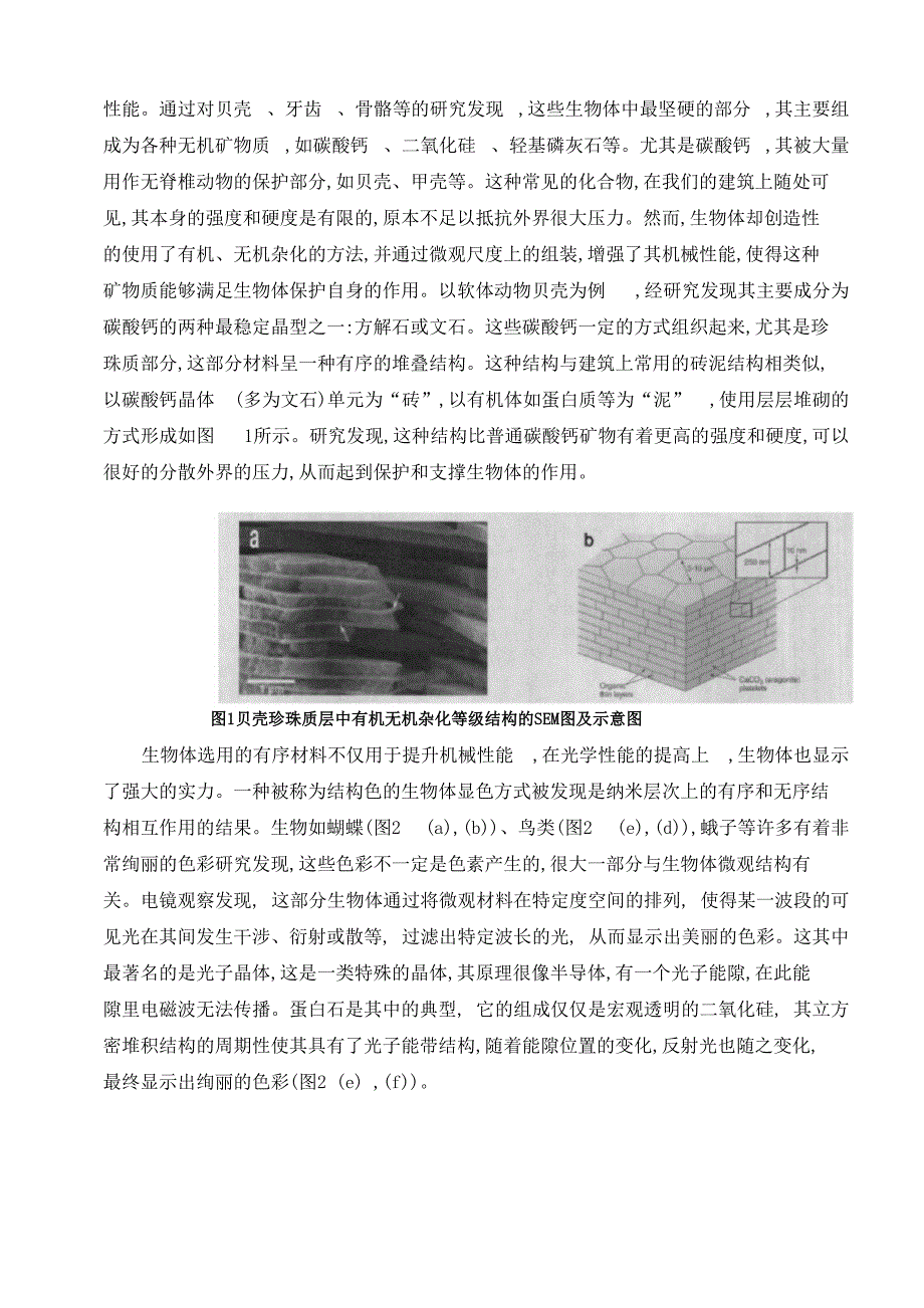 自然界存在的纳米材料及其特性功能_第4页