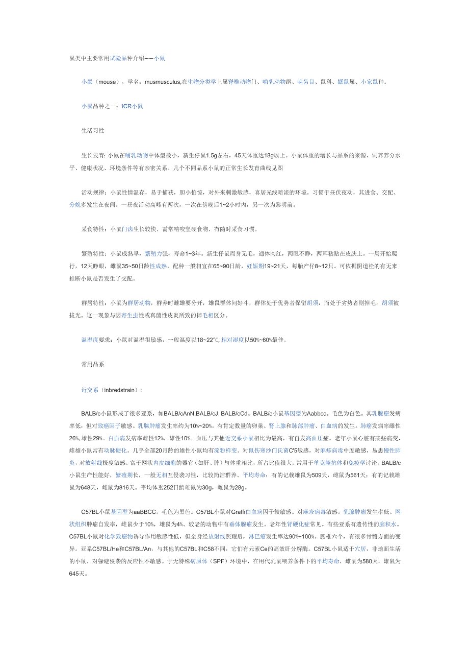 鼠类中主要常用实验品种介绍_第1页