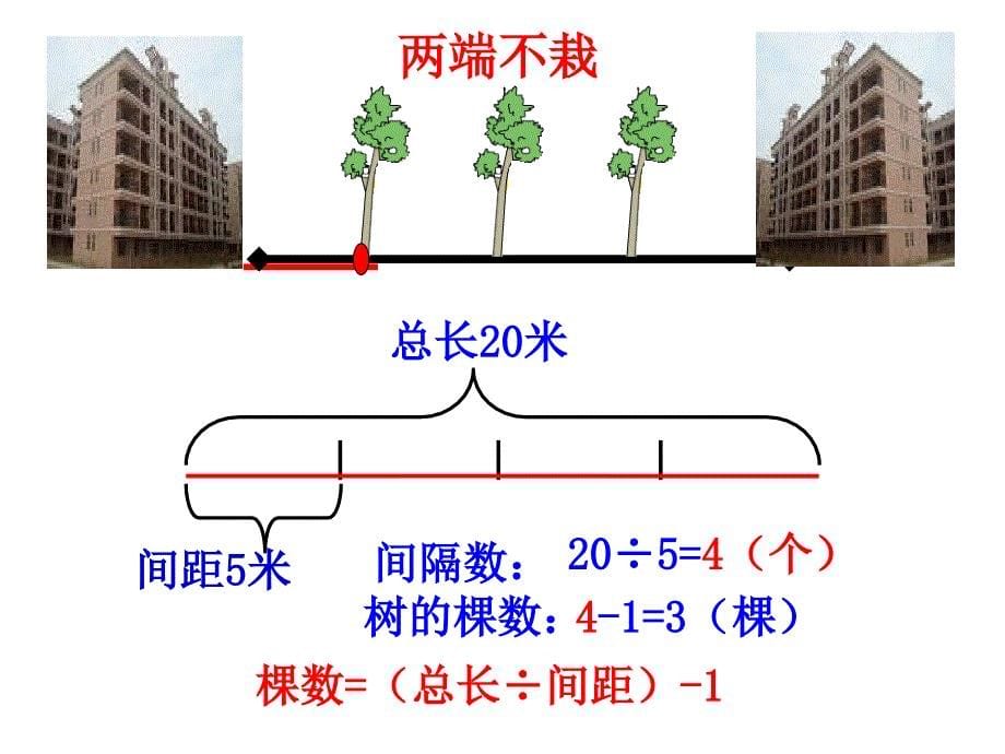 课题植树问题_第5页