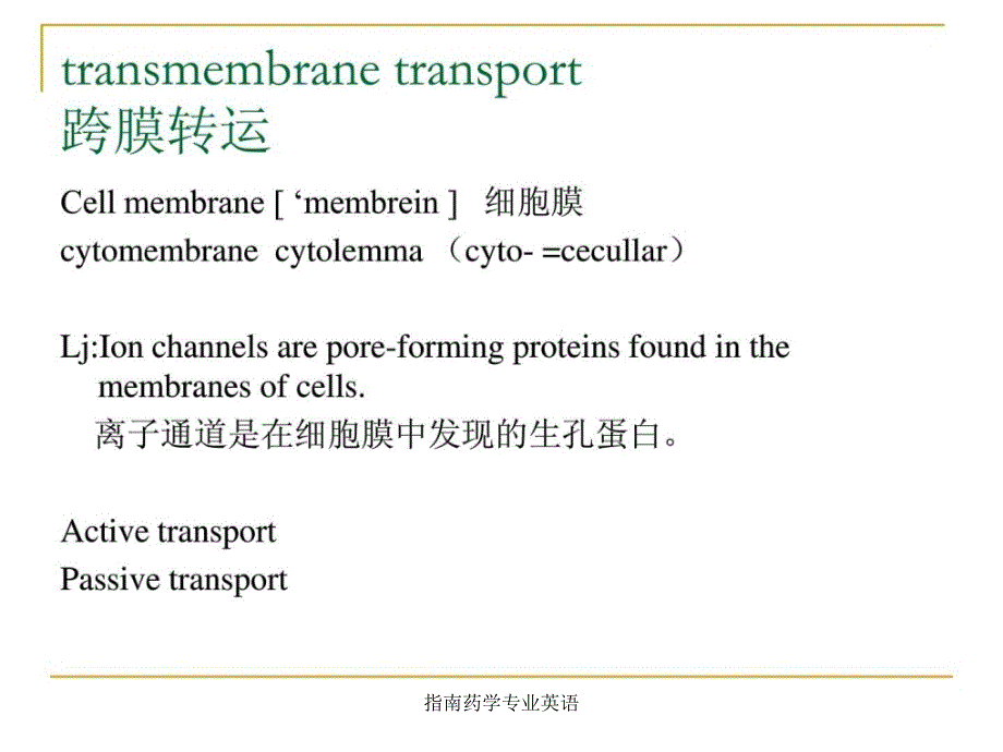 指南药学专业英语课件_第3页