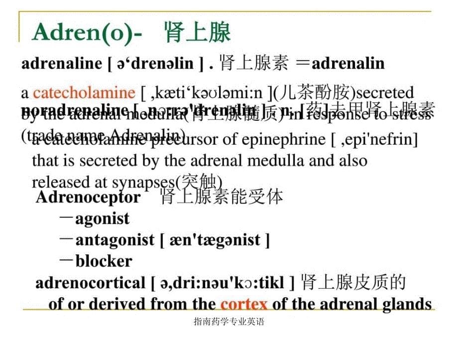 指南药学专业英语课件_第5页