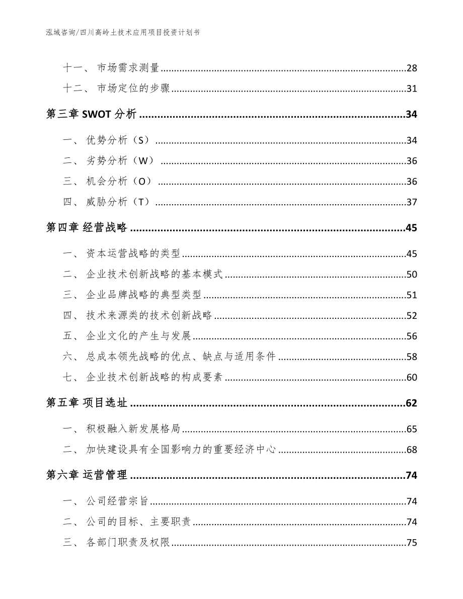 四川高岭土技术应用项目投资计划书_第2页