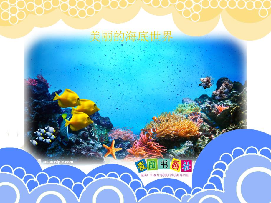 创意绘画多彩的海底世界_第4页