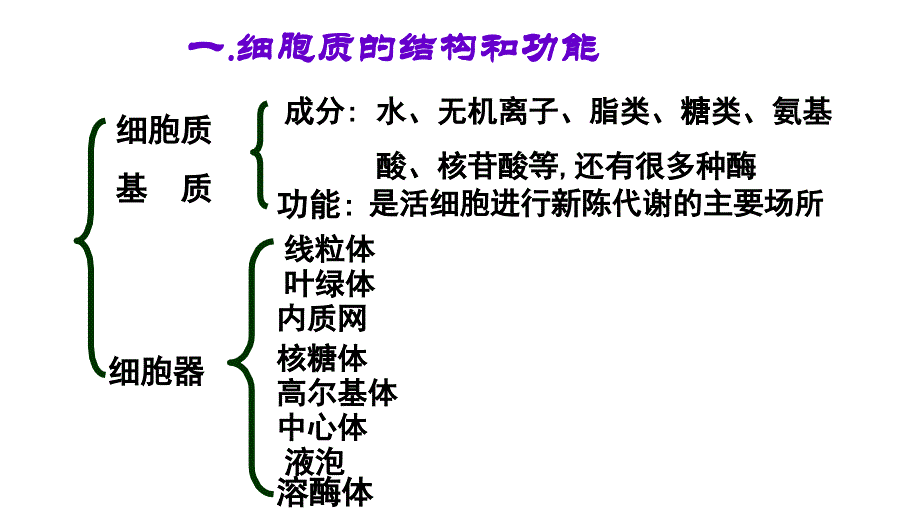 细胞器系统内的分工合作.ppt1_第4页