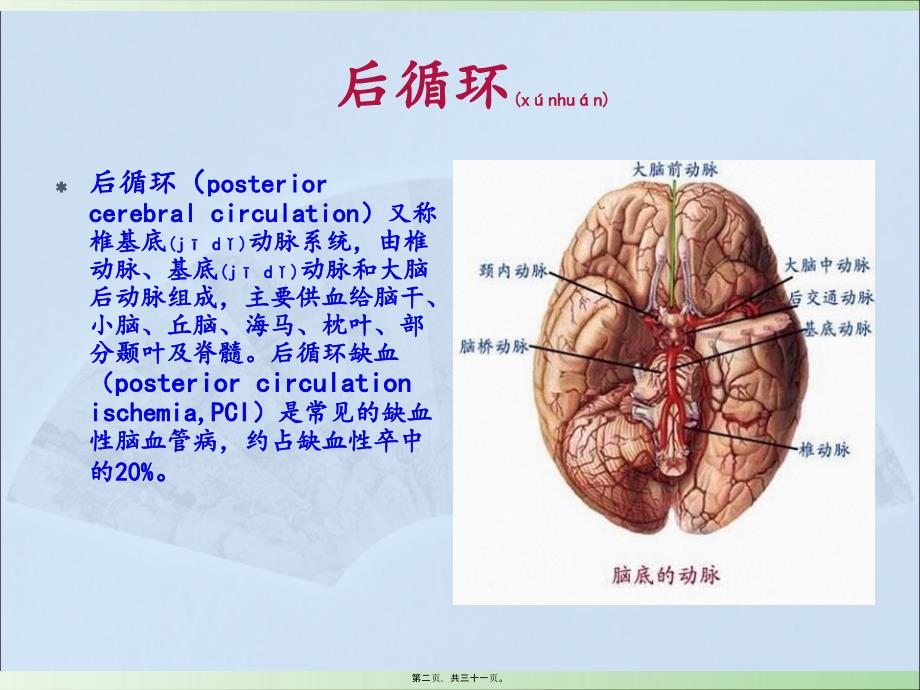 医学专题—后循环缺血12031_第2页