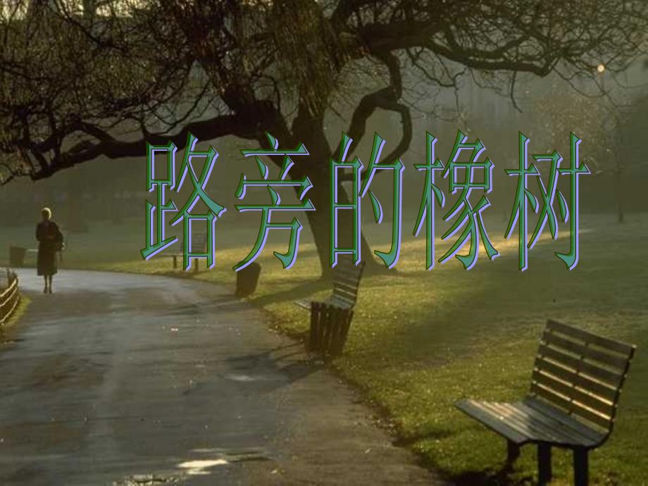 人教版三年级语文下册《路旁的橡树》课件PPT_第1页