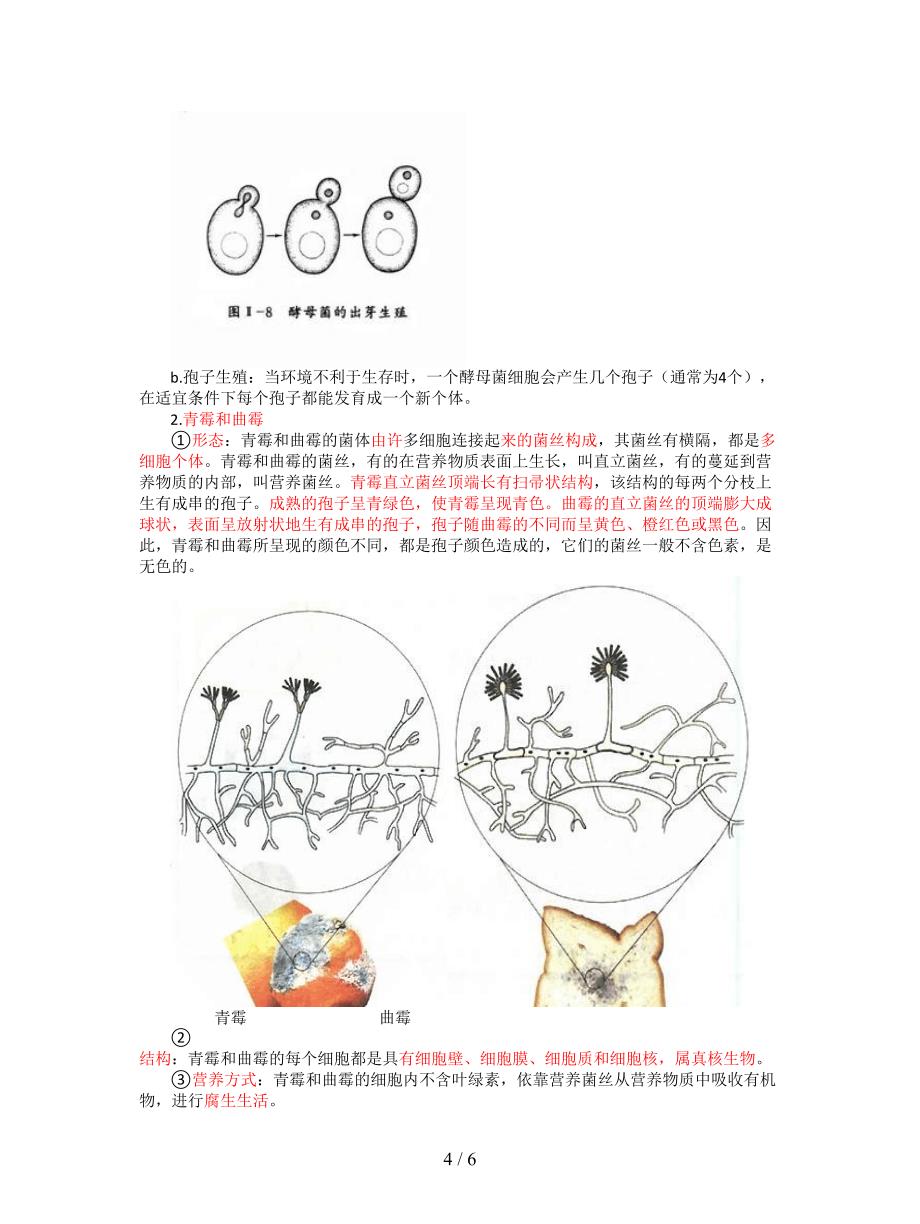 2019年人教版九年级生物中考复习-细菌、真菌和病毒知识点总结.doc_第4页