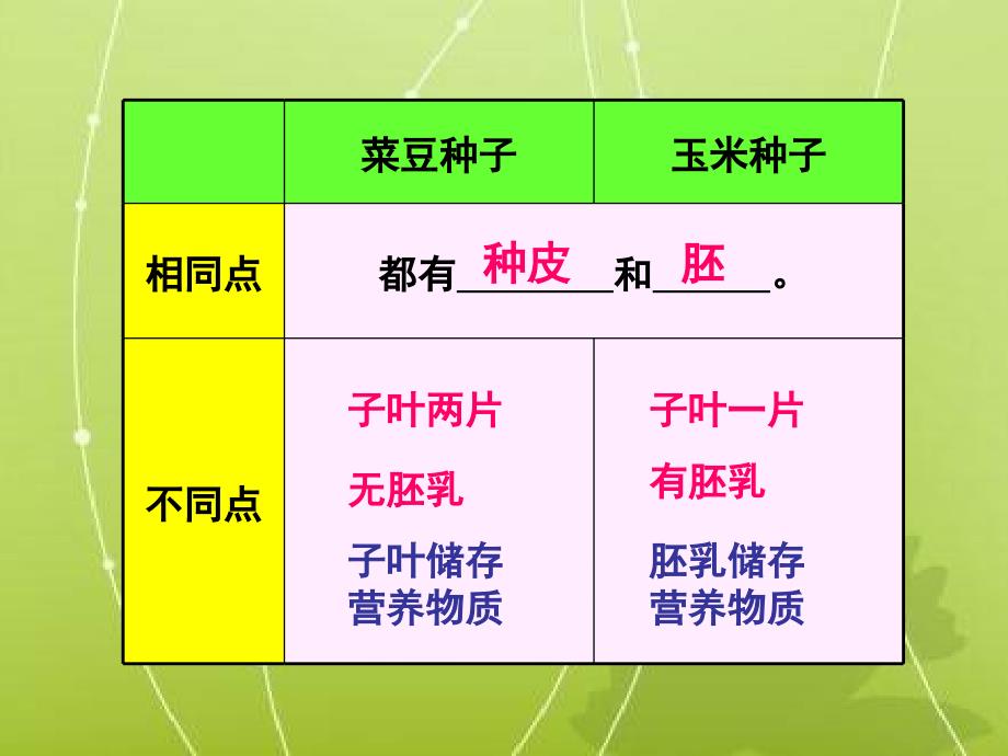 人教版七上第二章第一节种子的萌发共18张PPT_第3页