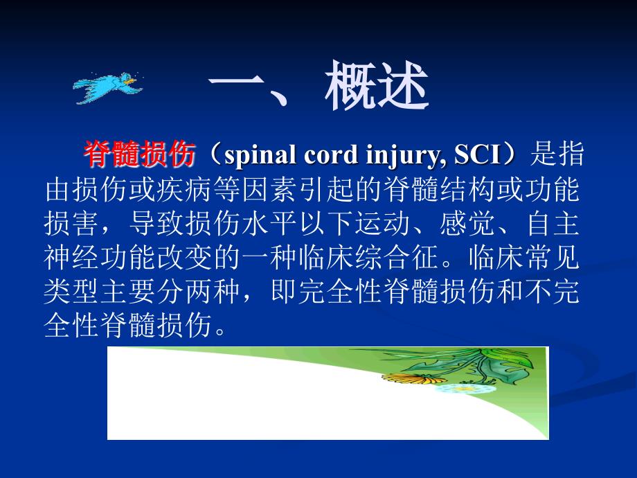 康复护理第5章常见疾病的康复护理第四节脊髓损伤_第3页