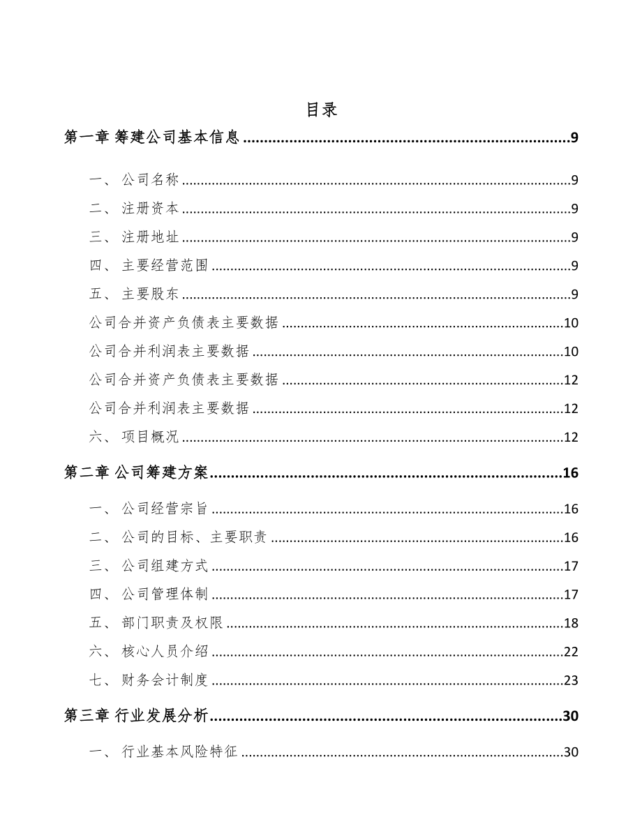 宁夏关于成立火花塞公司可行性研究报告(DOC 82页)_第2页