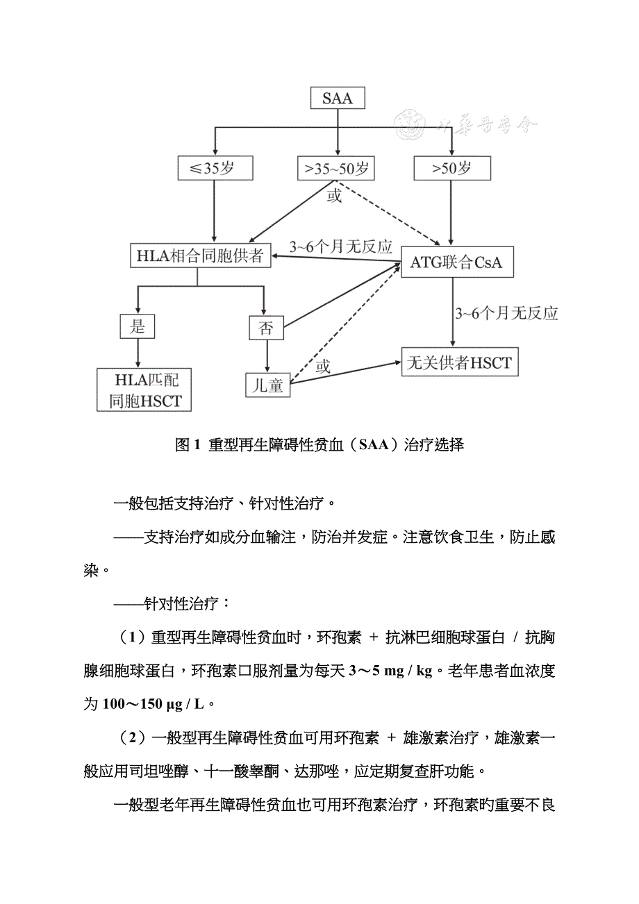 再生障碍性贫血_第4页