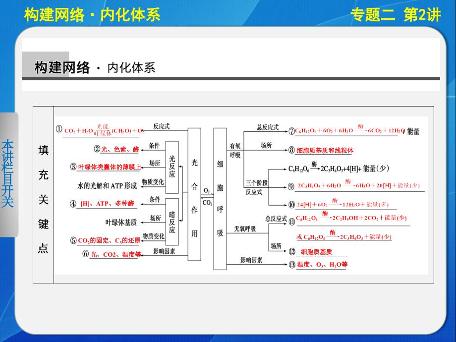 二轮专题突破：光合作用与细胞呼吸课件_第2页