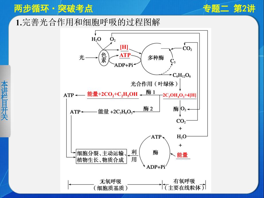 二轮专题突破：光合作用与细胞呼吸课件_第5页