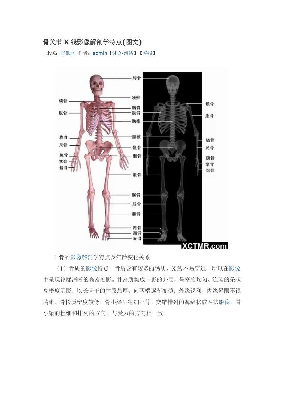 骨关节X线影像解剖学特点.doc_第1页