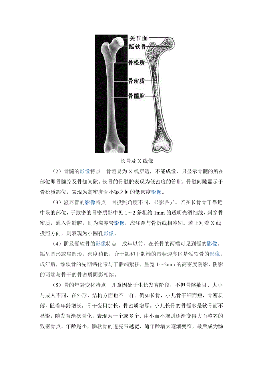 骨关节X线影像解剖学特点.doc_第2页