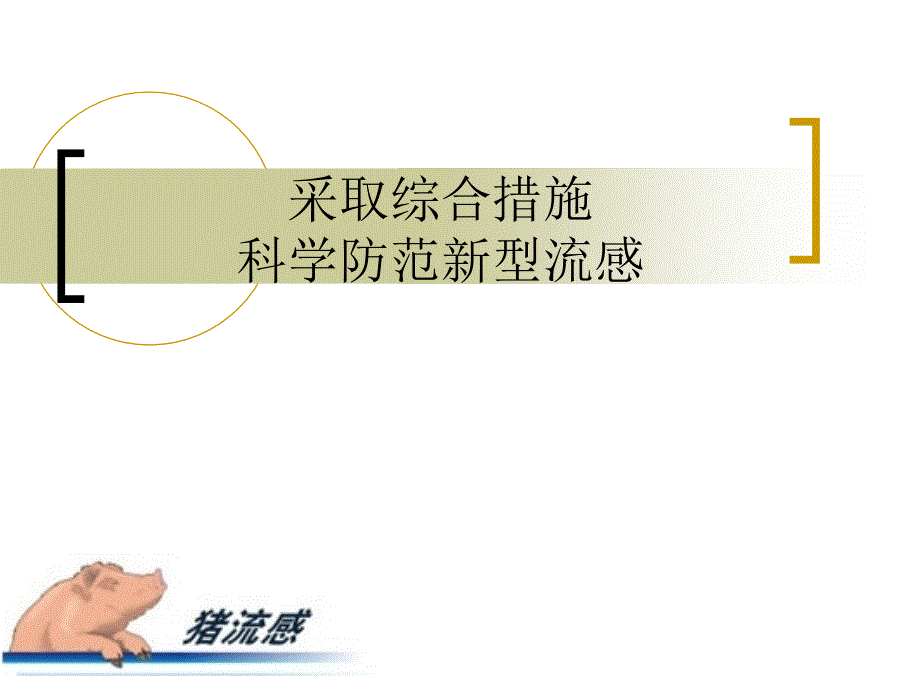 采取综合措施科学防范新型流感.ppt_第1页