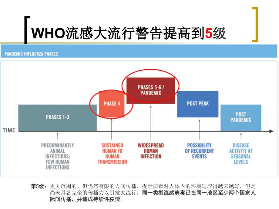 采取综合措施科学防范新型流感.ppt_第3页