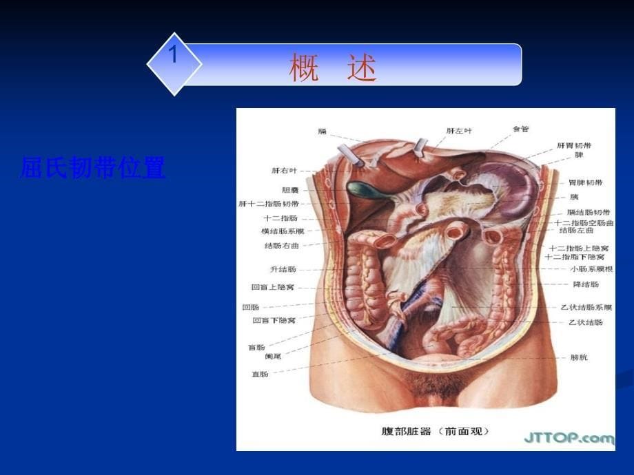 第八节 上消化道出血的护理【PPT课件】_第5页