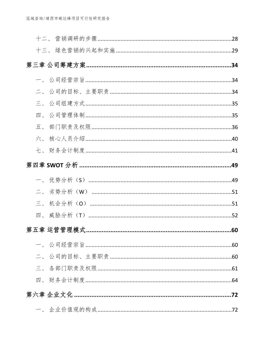 靖西市碳达峰项目可行性研究报告（范文模板）_第2页