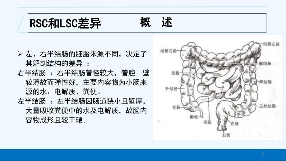 结肠癌靶向治疗进展课件_第5页