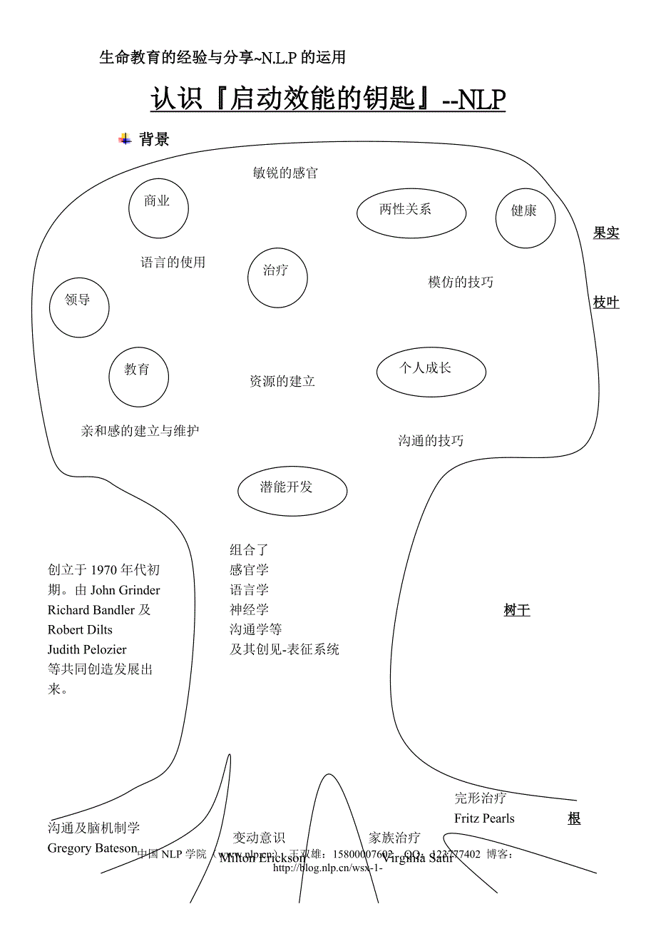 (精品)认识启动效能的钥匙--NLP_第1页