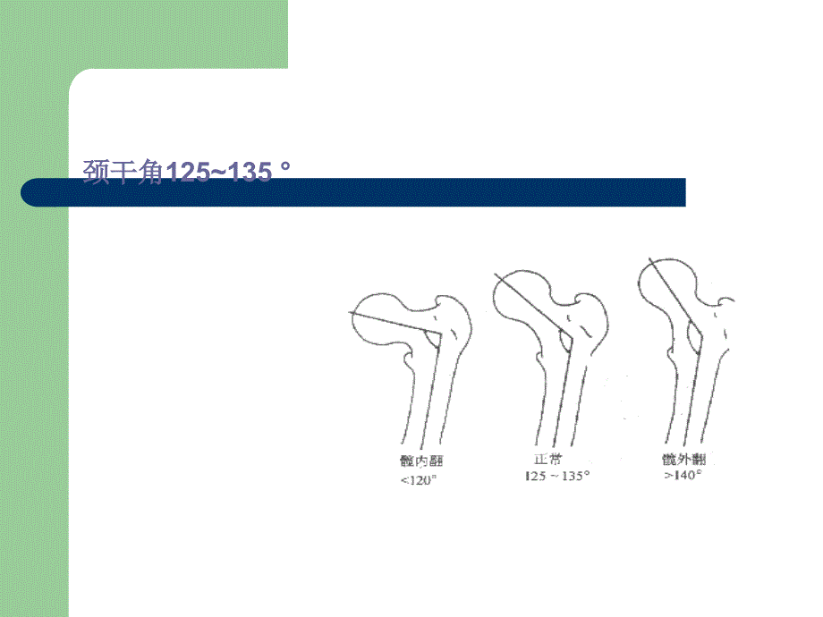 髋关节的解剖己生物力学.ppt_第2页