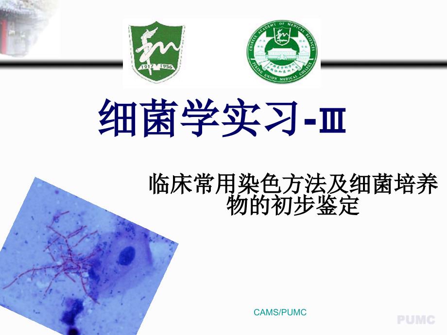 医学微生物学资料：细菌实习-3_第1页