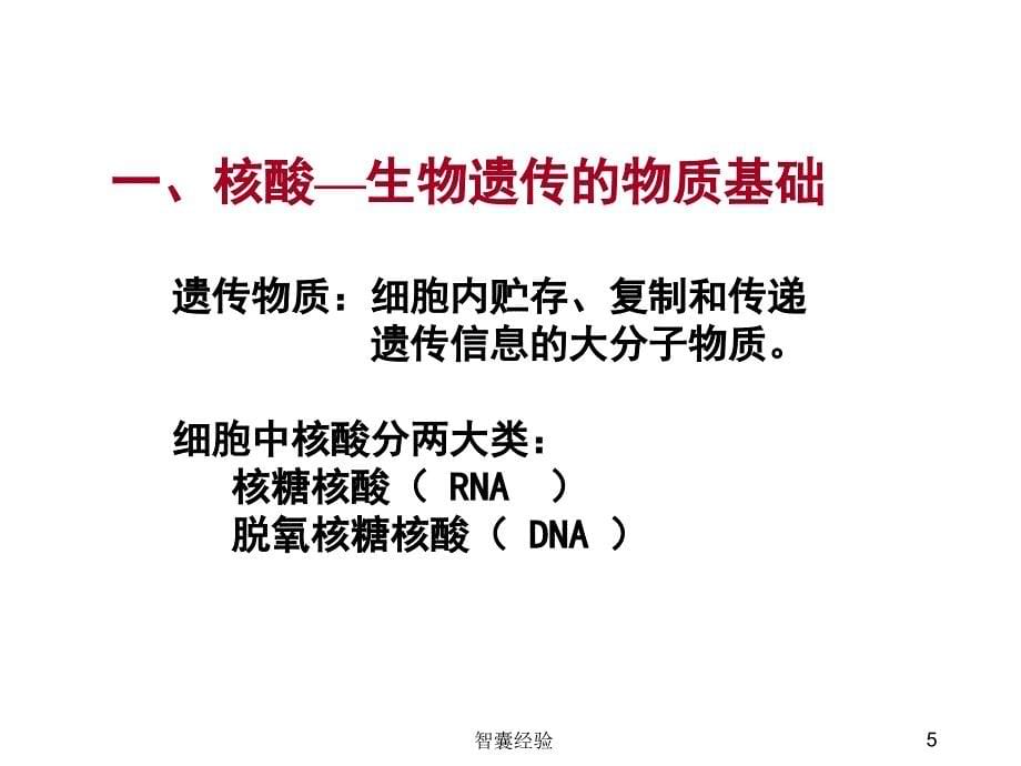 细胞生物学细胞概述[基础课堂]_第5页