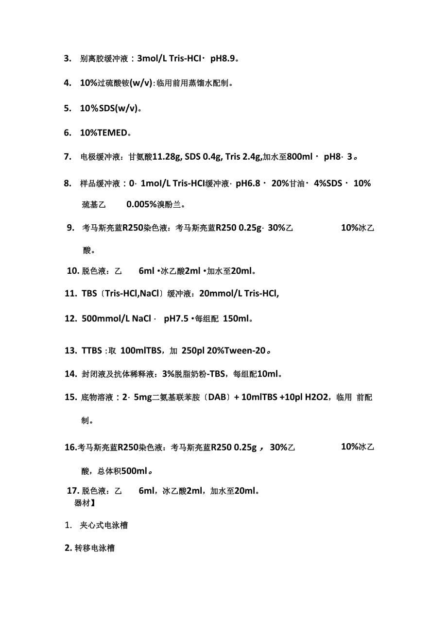 Get清风WesternBlotting实验报告_第5页