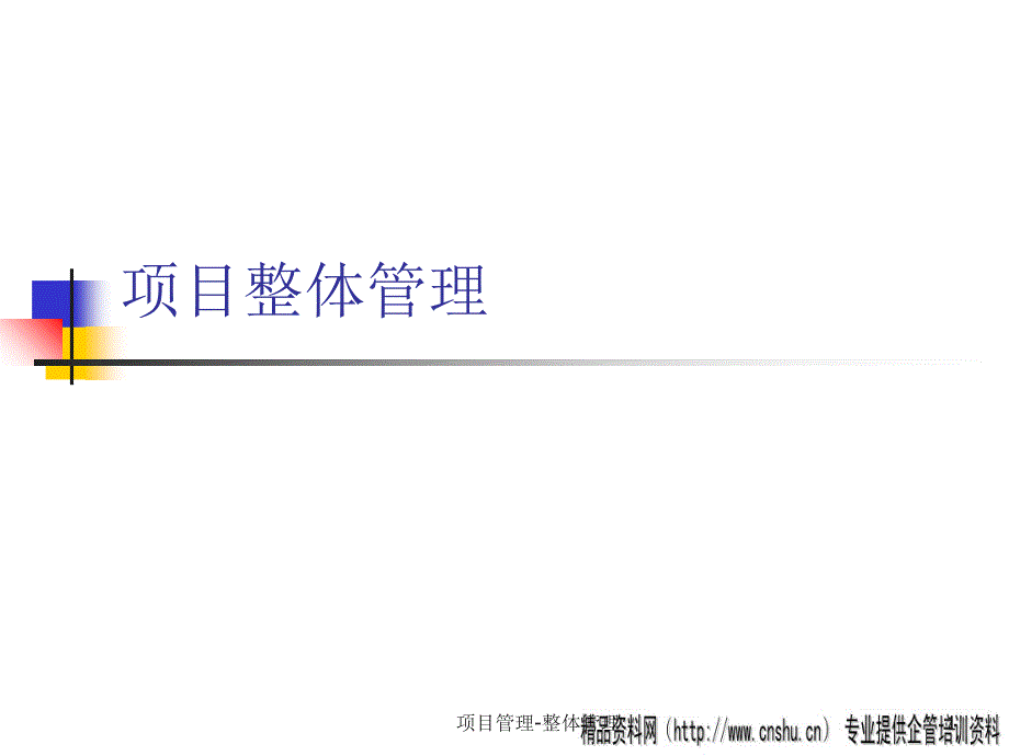 某公司项目整体管理规划_第1页