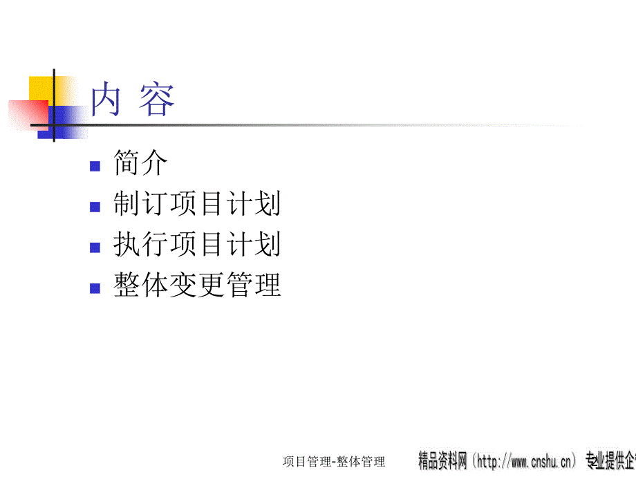 某公司项目整体管理规划_第2页