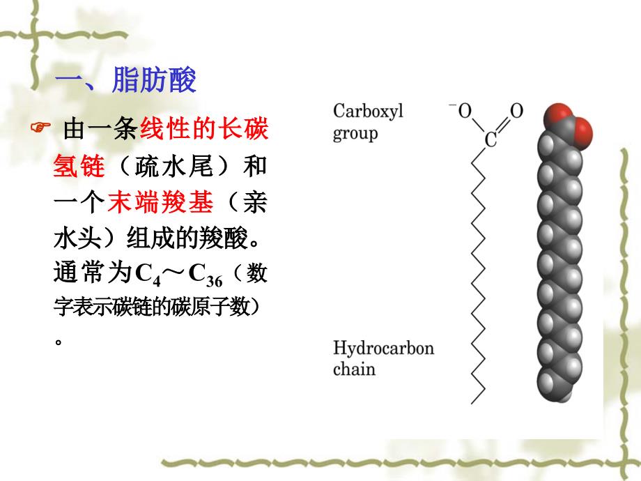 生物化学第九章脂类物质的合成与分解_第4页