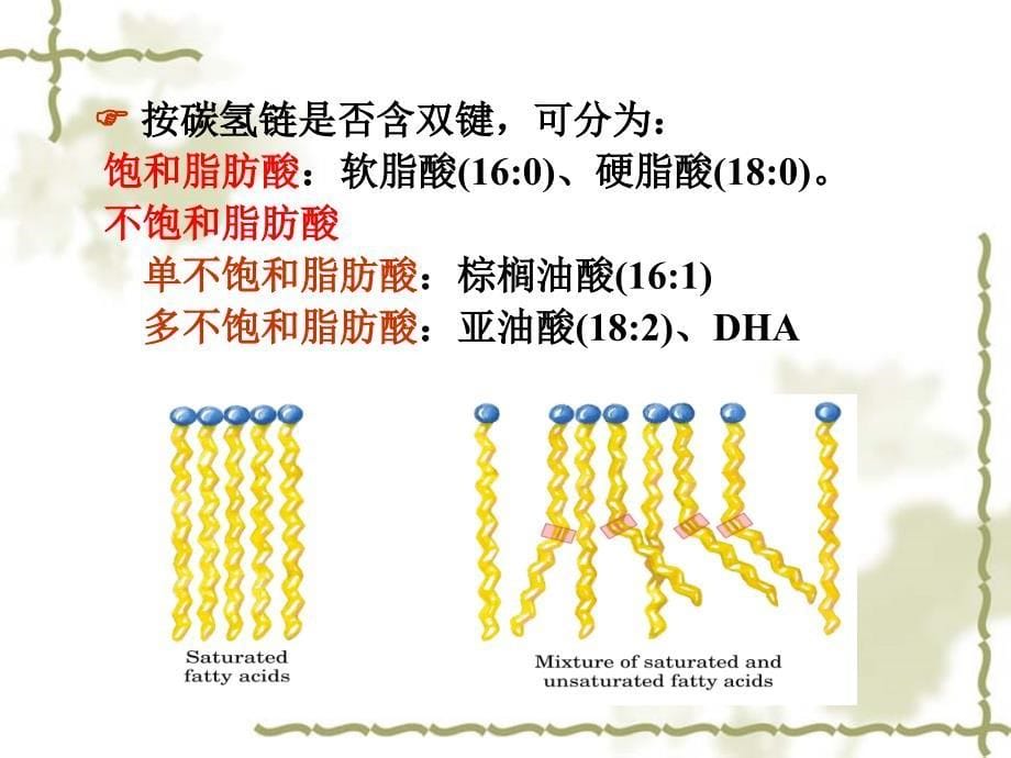 生物化学第九章脂类物质的合成与分解_第5页